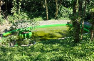 lagune