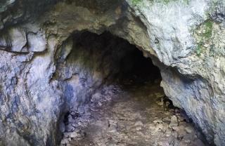 blick in grotte