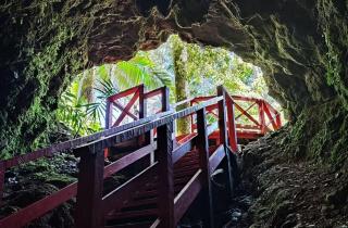 blick aus grotte